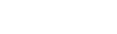Essor Solutions logo